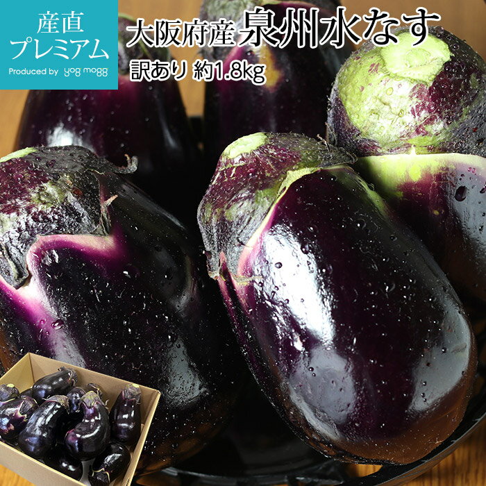 なす 泉州水なす 訳あり 約2kg 10～14個 大阪府産 送料無料【 泉州 茄子 ナス 水茄子 水ナス お取り寄せ 野菜 ギフト 家庭用 プレゼント 】【産直プレミアム】