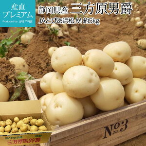 じゃがいも 三方原男爵 約5kg Mサイズ 約40～50個 JAとぴあ浜松 静岡県産 送料無料 【男爵/男爵イモ/男爵いも/三方原馬鈴薯/三方原/静岡/ジャガイモ/ポテト/お取り寄せ/野菜/贈答用/プレゼント/内祝い】【産直プレミアム】