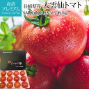 「安全、安心、おいしいトマト」つくりのために、長崎県特別栽培農産物の生産に取り組み全圃場減農薬、減化学肥料栽培を行っております。 産地にて糖度10度程度の手選別トマトを特ちゃんとしてお届けいたします。 JA雲仙島原が丹精込めて生産した大雲仙トマトを是非ご賞味くださいませ。 商品番号v-0088 名称大雲仙トマト 生産地長崎県（JA島原雲仙） 保存方法常温 販売数量1箱 特ちゃん 約1kg 8～16玉 お支払方法カード、銀行振込 送料送料無料 問い合わせ先TEL：050-3709-8177　Email：yogmogg_2@shop.rakuten.co.jp