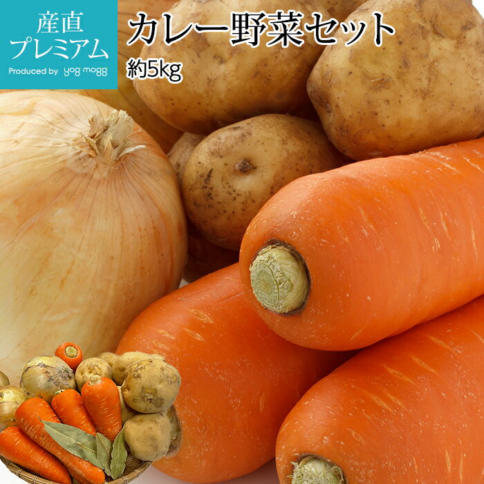 野菜詰め合わせ カレー野菜セット 約5kg 3種類【セット 