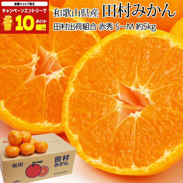 【楽天SS限定エントリーでP10倍＆300円OFFクーポン】みかん 田村みかん 赤秀 約5kg S〜Mサイズ 50〜60個 和歌山県産 産地直送 蜜柑 ミカン 有田みかん お取り寄せ フルーツ 果物 ギフト 贈答 プレゼント 内祝い 箱サイズ 産直プレミアムのサムネイル