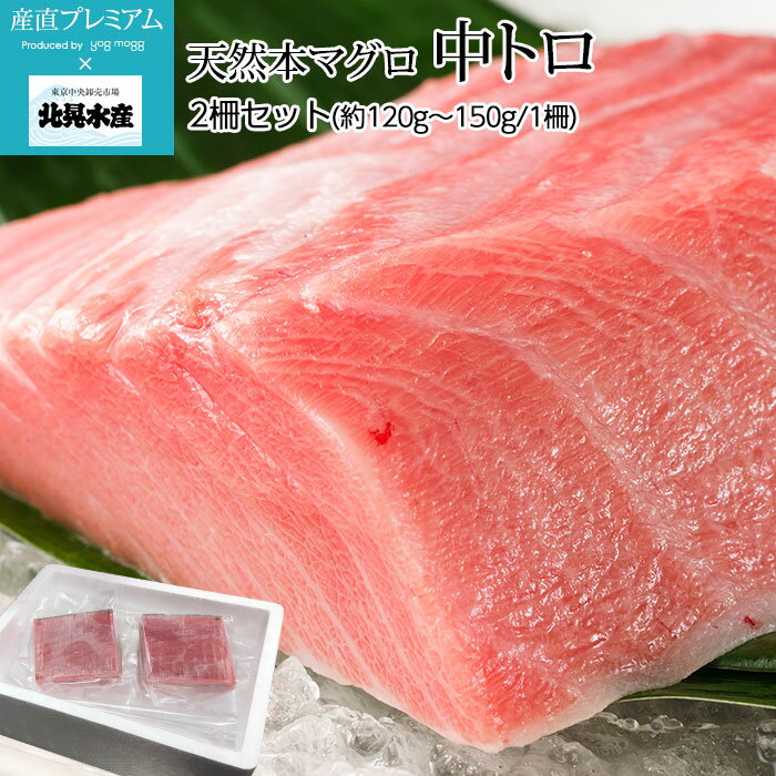 マグロ 天然本マグロ 中トロ 2柵セット（約120g〜150g/1柵） 2〜3人前 北晃水産【まぐろ 鮪 本マグロ 本まぐろ 本鮪 中とろ 天然 刺身 お刺身 鮮魚 魚介 贈答用 プレゼント 内祝い】【産直プレミアム】