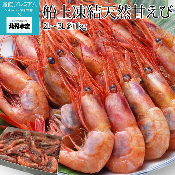 エビ 船上凍結天然甘えび 合計約1kg 2L～3Lサイズ 46～57尾 北晃水産