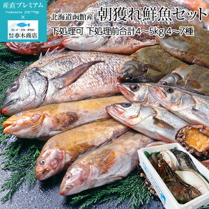 【鮮魚ボックス】新鮮な魚をお取り寄せしたい！おすすめのお魚ボックスは？