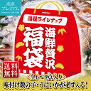 【マラソン限定最大P26倍】 海鮮贅沢福袋　全6~9点　【産