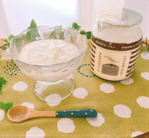 Ļ���⸶�衼����� ����䤫�ץ졼��900g ���ĤǤ�衼����� Ļ����錄�Ѹ� ̵�� ������ Ļ���⸶ �衼�����