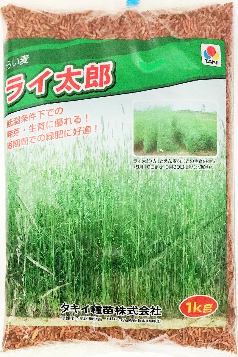 ライ麦　ライ太郎　1kg～20kgタキイ種苗　緑肥・牧草の種