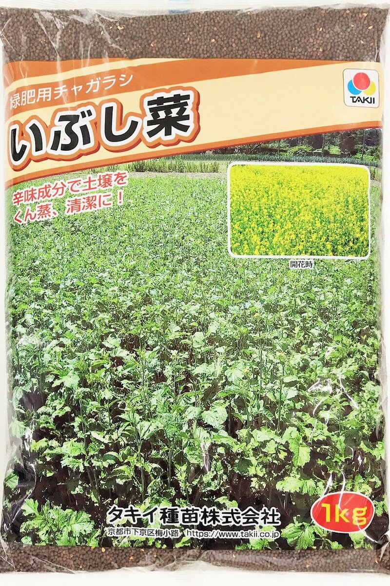 タキイ種苗 緑肥 種子 れんげ 1袋（1kg） 通販