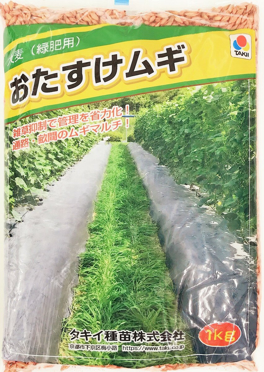 ガーデン用 西洋芝の種 J・ターフ II 10kg タキイ種苗 タネのタキイ 種子 芝種 代金引換不可 送料無料