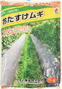 【 飼料用 スーダングラス 】 リッチスーダン / スプリント （早生） 1kg 20kg 牧草 放牧 栽培用 緑化 緑肥 種子 雪印種苗