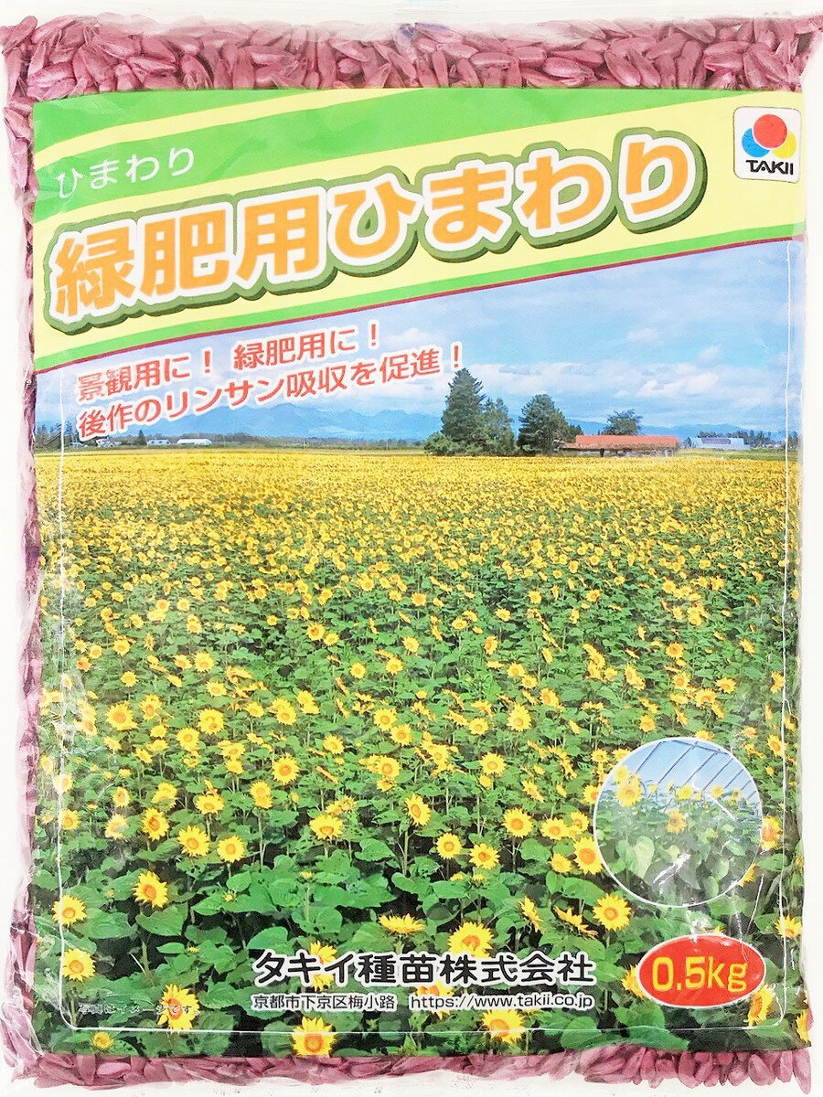 景観保全 緑化 緑肥 種 向日葵 袋セット ひまわり種子 緑肥用ひまわり 10kg 500g 袋 セット タキイ種苗 ひまわりの種