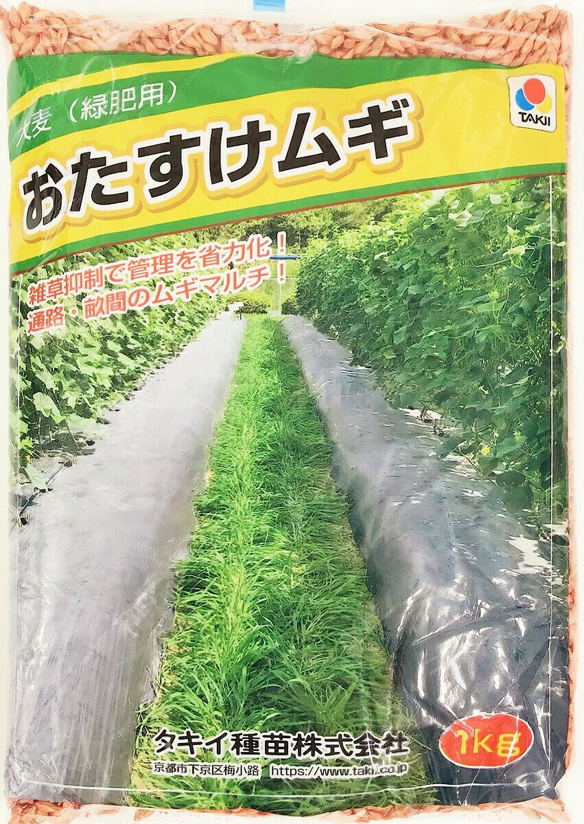 おたすけムギ 大麦（緑肥用）20kg原袋