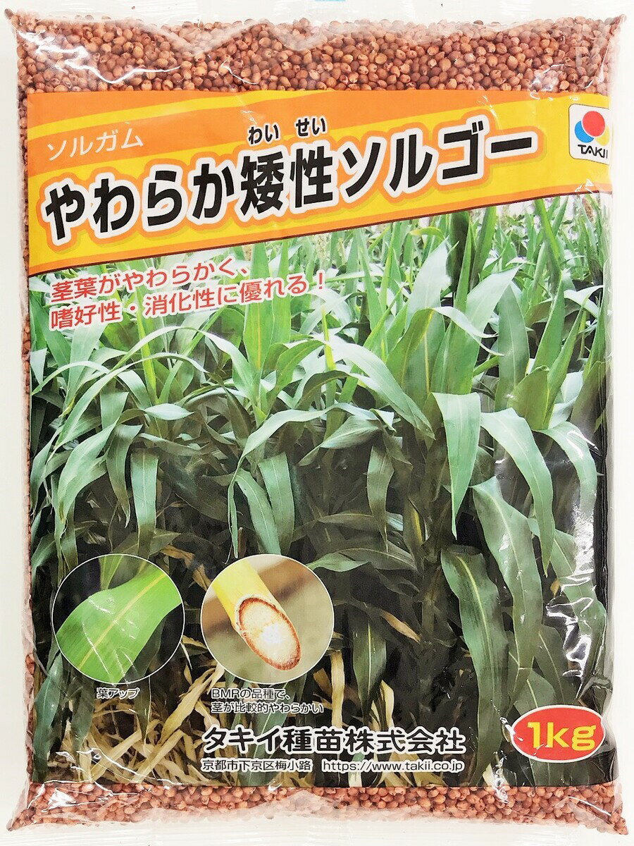ソルガム種子　やわらか矮性ソルゴー　10kg（1kg×10袋）タキイ種苗