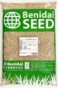 トールフェスク 品種名：アベンジャー3　　2kg（1kg×2袋） 紅大貿易　芝生の種子