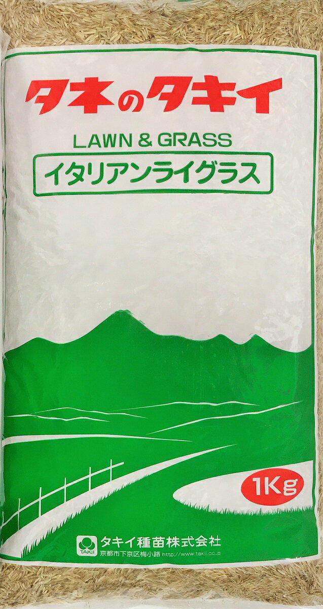 イタリアンライグラス種子　ガルフ（農薬未処理）1kg～20kg原袋タキイ種苗　牧草の種 1