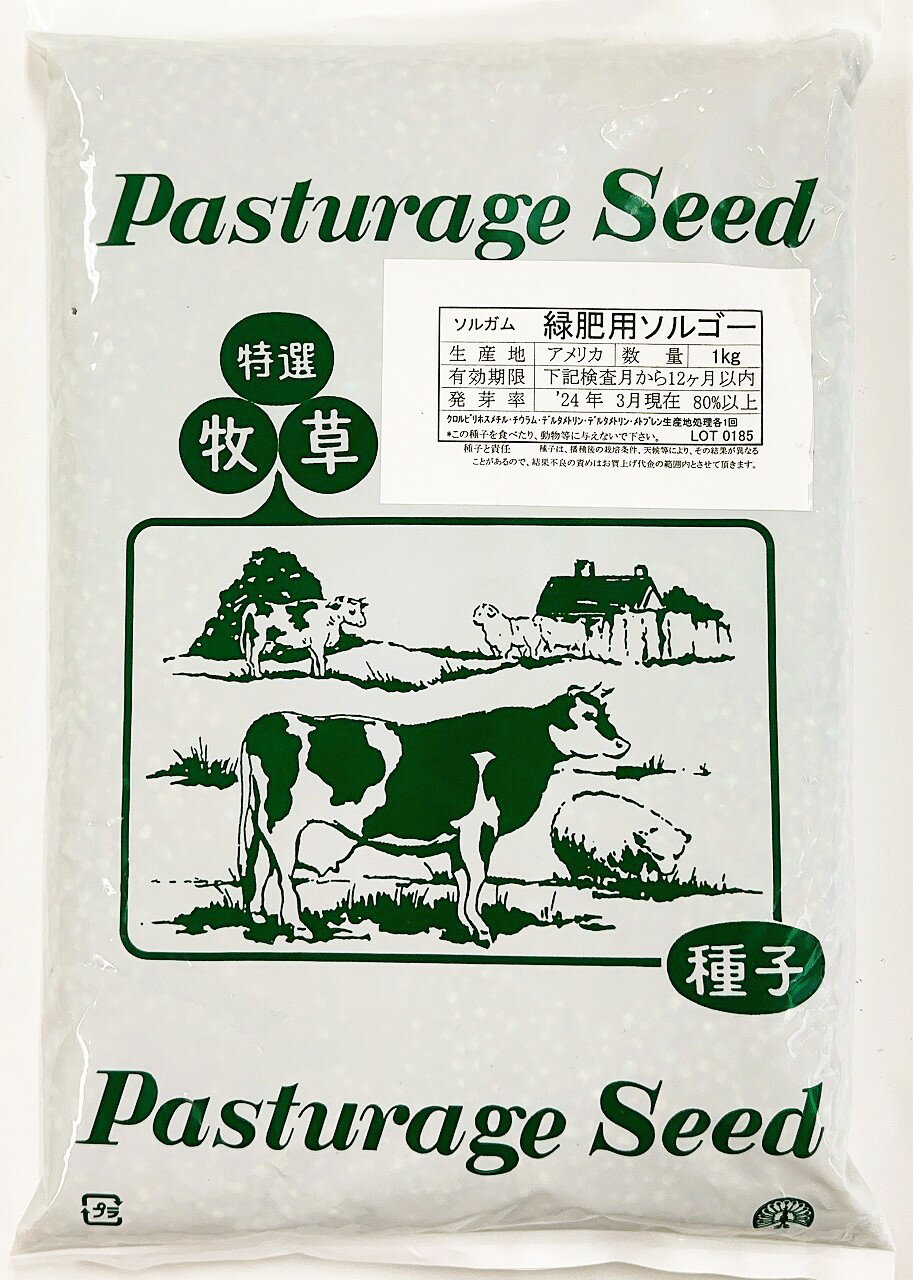 【サカタのタネ】四季なりイチゴ　ワイルドストロベリー（0.1ml）【定形郵便・定形外郵便での発送のみ送料無料】花壇/コンテナ/プランター/花種/種子/植物/栽培/ガーデニング/自宅で/多年草/春まき/秋まき/シキナリイチゴ/バラ科/粒数目安：145粒/906082