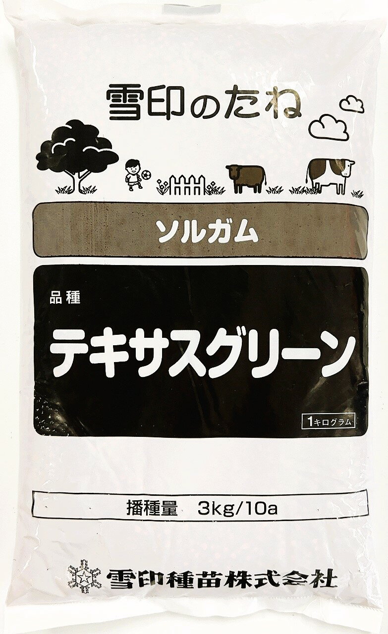 ソルガム種子 品種名：テキサスグリーン1kg～20kg　雪印種苗