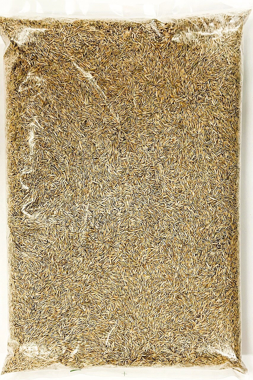 タネの問屋さん養本社のペレニアルライグラス 品種名：ブラックスパロー 種子 10kg（1kg×10袋） 紅大貿易 【ウィンターオーバーシード用品種】芝の種｜アングル2