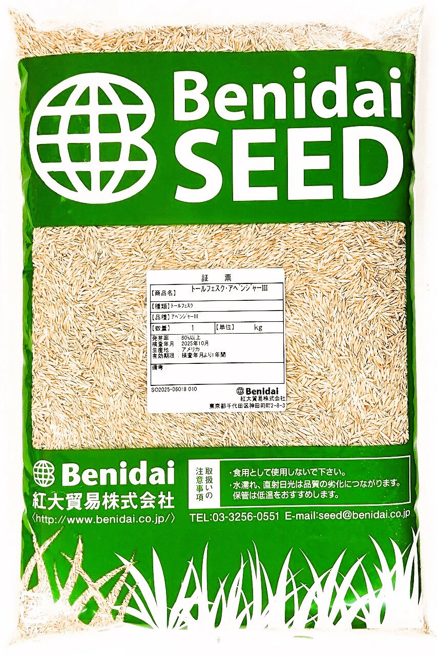 トールフェスク 品種名：アベンジャー3 5kg（1kg×5袋） 紅大貿易 芝生の種子