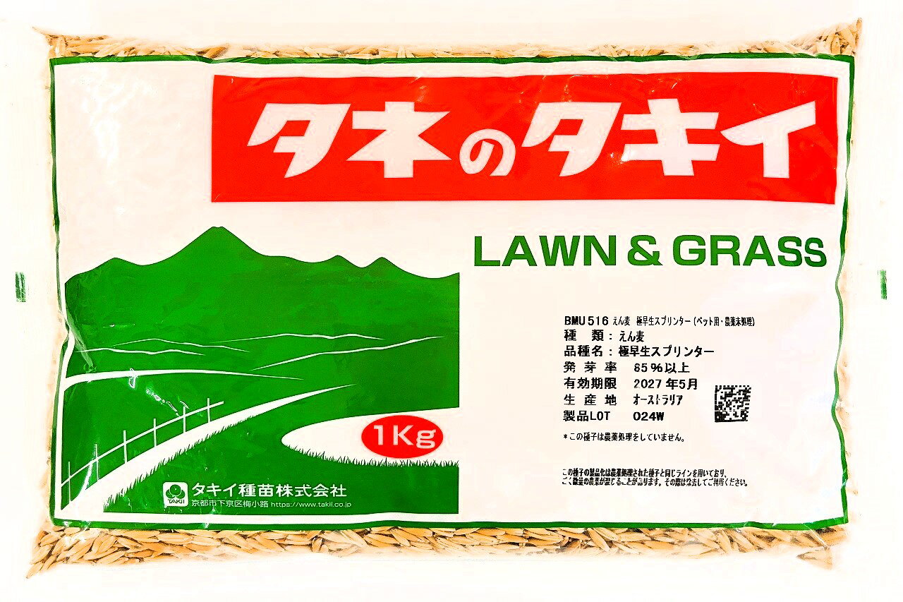 商品情報まき時8月から11月ペット草用は15℃〜25℃種類えん麦　極早生スプリンター発芽率等発芽率：85％以上　生産地：オーストラリア　播種量：8～10kg/10a内容量1kg×16袋法規上の免責事項・注意種子は、播種後の栽培条件、天候等により、その結果が異なることがあるので、結果不良の責めはお買い上げ代金の範囲内とさせていただきます。種子は食用ではありませんので動物等に与えないでください。【16kgセット】えん麦種子　極早生スプリンター（ペット用・農薬未処理）16kg（1kg×16袋）　タキイ種苗 . エンバクは初期生育が旺盛なため、緑肥・牧草・ペット用の草等に利用されています。【猫草・ウサギ用にも適したえん麦です】【特性】初期生育が早い・ペットが食べた後の再生力が強い・葉が直立でツンツンしている発芽適温：15℃～20℃　温度条件が良ければ通年発芽します利用方法：約10cm位に生育したらペットに与えられます※種子は食べさせないでください※収穫後に農薬を使っていません【緑肥としてご利用の場合】肥料の効果としてはあまり高くありませんが、深根性で、透水性などの土壌物理性の改善効果が期待できます。【すき込み時期】エンバク由来の肥効を期待する場合は C/N 比が比較的低い出穂前のすき込みが適します。すき込みが遅れると結実して雑草化する恐れがあります。【すき込み方法】フレールモアやハンマーナイフモアで細断後、耕起する方法があります。すき込みから2週間ほど経過した頃に再度耕起することで分解が促進されます。【腐熟期間】2週間すき込み後2週間以上あとに主作物の播種・定植を行ってください。※薬剤処理をしておりません 5