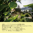 yohoya:10000040のサンプル画像3