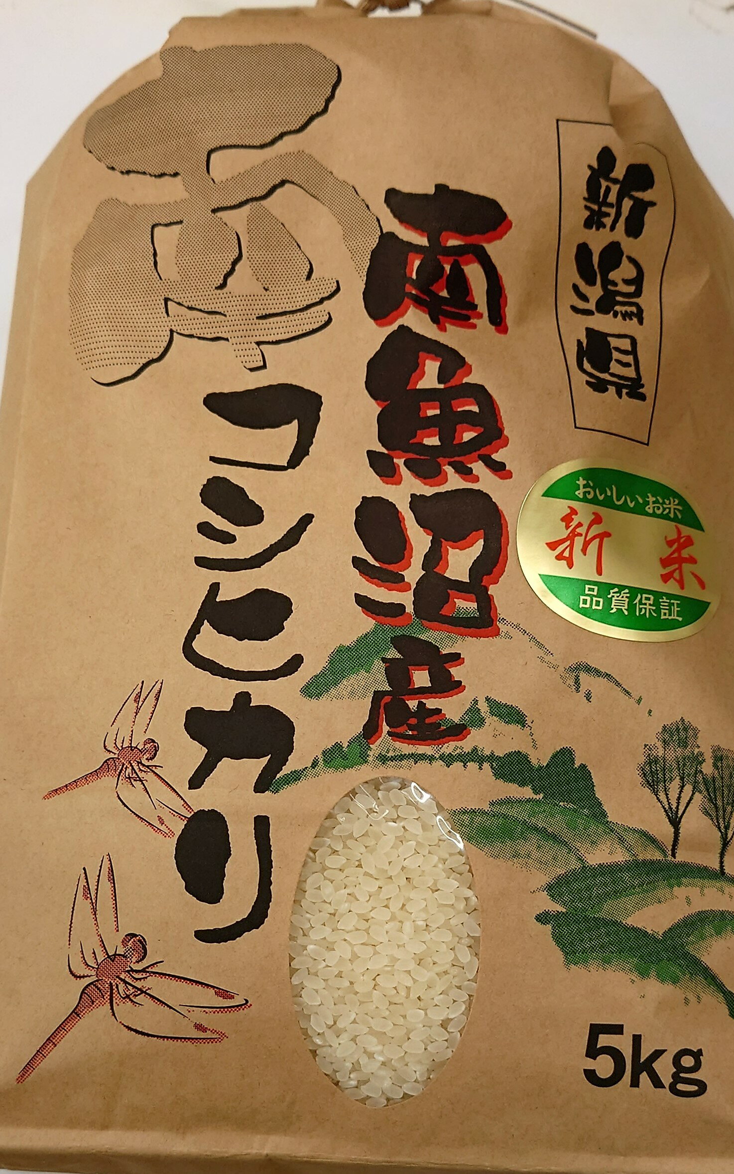 ダブル/ミストブルー 令和4年産魚沼産コシヒカリ 白米5kg×1個☆津南町