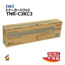 送料無料 OKI トナーカートリッジ TNR-C3KC3 シアンS 国内純正品