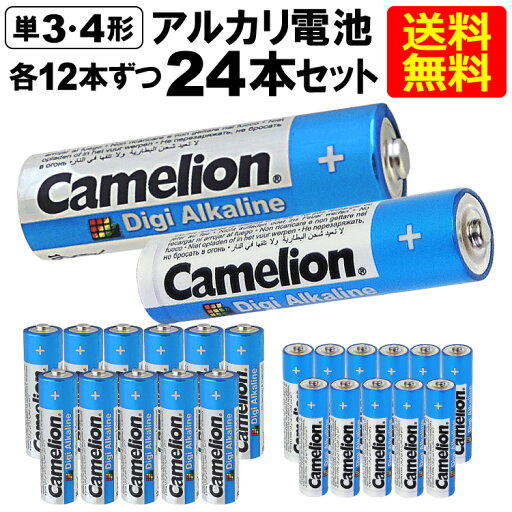 送料無料 アルカリ電池 単3形・単4形 LR6-SP12DG(単3/12本入) LR03-SP12DG(単4/12本入)各1セット 送料無料 アルカリ電池 単3形・単4形 LR6-SP12DG(単3/12本入) LR03-SP12DG(単4/12本入)各1セット