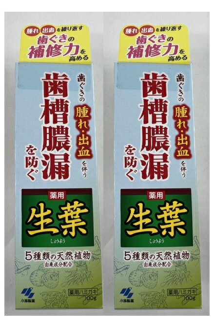 【×2本セット送料込】小林製薬 薬用 生葉 しょうよう b 100g 歯磨き粉 歯ぐきの腫れ 出血を伴う 歯槽膿漏を防ぐ 5種類の天然植物由来成分配合の薬用ハミガキ (4987072008041 )