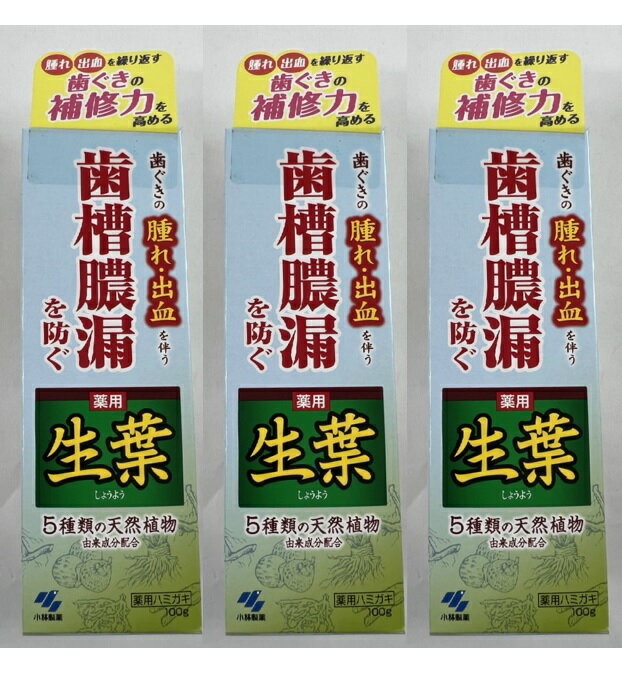 【×3本セット送料込】小林製薬 薬用 生葉 しょうよう b 100g 歯磨き粉 歯ぐきの腫れ 出血を伴う 歯槽膿漏を防ぐ 5種類の天然植物由来成分配合の薬用ハミガキ (4987072008041 )