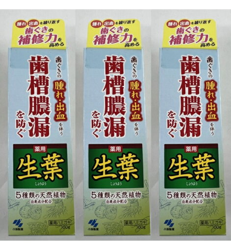 【×3個 配送おまかせ】小林製薬 薬用 生葉 しょうよう b 100g 歯磨き粉 歯ぐきの腫れ・出血を伴う、歯槽膿漏を防ぐ 5種類の天然植物由来成分配合の薬用ハミガキ (4987072008041 ) 【×3個 配送おまかせ】小林製薬 薬用 生葉 しょうよう b 100g 歯磨き粉 歯ぐきの腫れ・出血を伴う、歯槽膿漏を防ぐ 5種類の天然植物由来成分配合の薬用ハミガキ (4987072008041 )