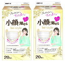 【20枚入×2箱セット送料込】白元アース be-style ビースタイル プリーツタイプ ふつうサイズ プレミアムホワイト 小顔に魅せる女性用のマスク プリーツマスク マスク (4902407582324 )(4)