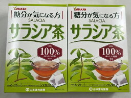 【×2箱セット送料込】山本漢方製薬 サラシア茶100％ 3g×20包入 サラシア茶100％ 糖分が気になる方へ 毎日のお食事のお供に ノンカフェイン (4979654027472 )