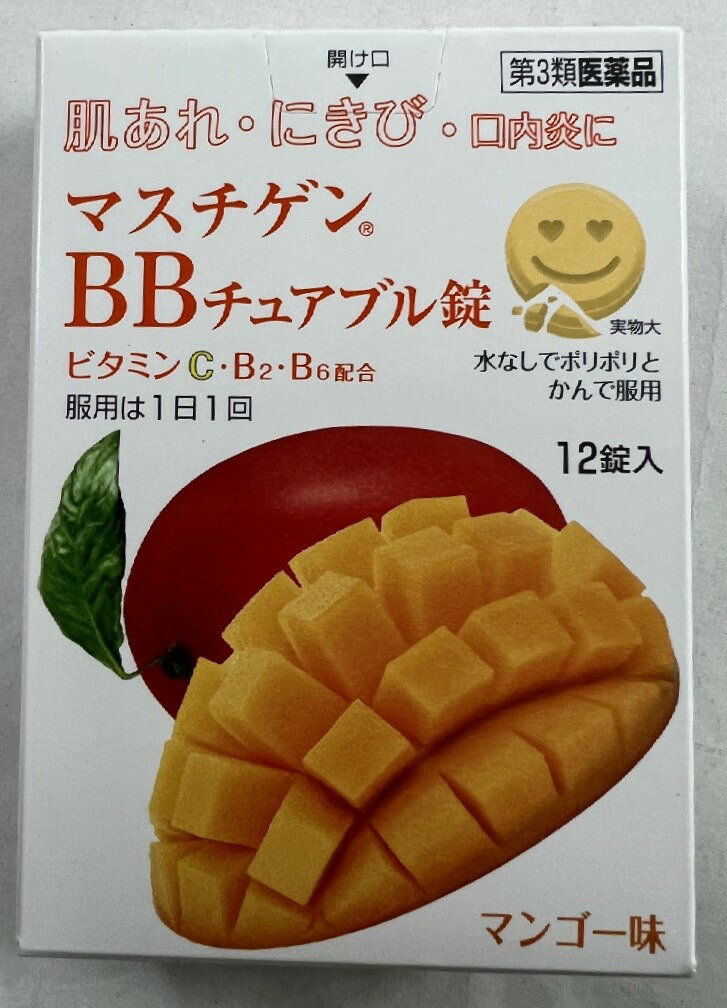 【メール便送料込】【第3類医薬品】日本臓器製薬 マスチゲン BBチュアブル錠 12錠