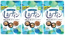 【×3袋セットメール便送料込】トイメディカル しおナイン 48カプセル 食事をポジティブにする新しいタイプのサプリメント(4987879610096)