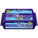 【店長のイチオシ】日本製紙クレシア アクティ トイレに流せるおしりふき 100枚入