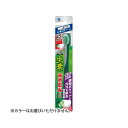 小林製薬 生葉 45°磨き ブラシ レギュラータイプ ふつう 1本入 ※カラーはお選びいただけません。(4987072052518)