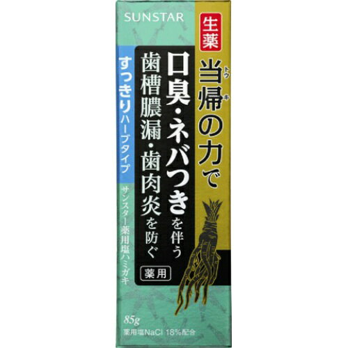 サンスター 生薬 当帰の力で 薬用 塩 ハミガキ すっきりハーブタイプ 85gのサムネイル