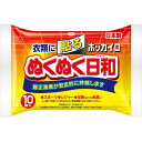 【秋冬限定】興和 ホッカイロ ぬくぬく日和 貼るレギュラー 10個入り(使い捨てカイロ) ( 4987067829606 )※無くなり次第終了