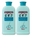 毛髪力　育毛剤 【×2本セット送料込】ライオン 薬用毛髪力 シャンプー 200ml 本体 医薬部外品 ( 頭皮ケアシャンプー・ふけ、かゆみ対策 )(4903301669098)