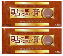 【×2箱セットメール便送料込】【第3類医薬品】貼温膏 120枚入 肩こり・腰痛・関節痛に。鎮痛温感プラスター( 4940794451267)