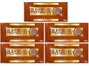 【×5箱セット送料込】【第3類医薬品】貼温膏 120枚入 肩こり・腰痛・関節痛に。鎮痛温感プラスター( 4940794451267)