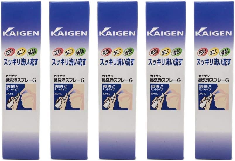 【×5本セット送料込】カイゲンファーマ カイゲン 鼻洗浄スプレーG 200ml