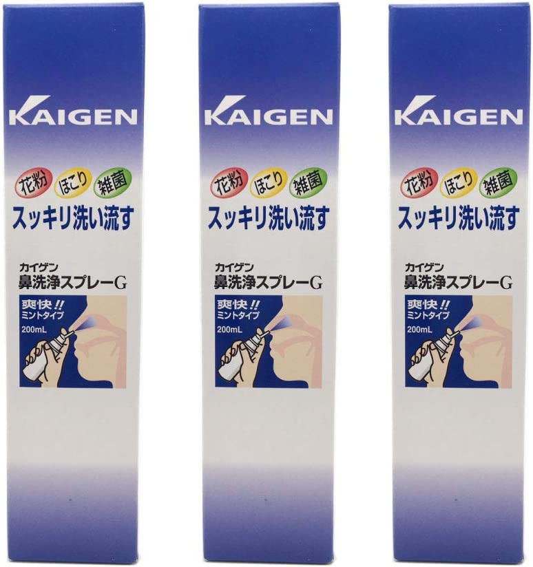 【×3本セット送料込】カイゲンファーマ カイゲン 鼻洗浄スプレーG 200ml