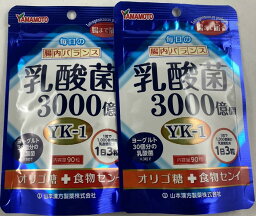 【×2袋　メール便送料込】【山本漢方製薬】山本漢方 乳酸菌粒 90粒4979654026925