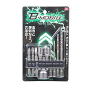 【配送おまかせ】藤原産業 SK11 B-Mビットセット10Pcs SCB-106 1個