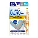 【送料込】 興和 バンテリンコーワ リカバリー アームスリーブ アッシュグレー M-L 腕用 2枚入 1個(4)