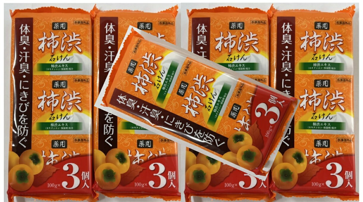 【×3個入×5個パックセット送料込】