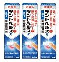 【×3本セットメール便セット送料込】【第3類医薬品】デントヘルスR 20g