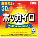 【送料無料・まとめ買い4個セット】興和 ホッカイロ 貼らないレギュラー30個